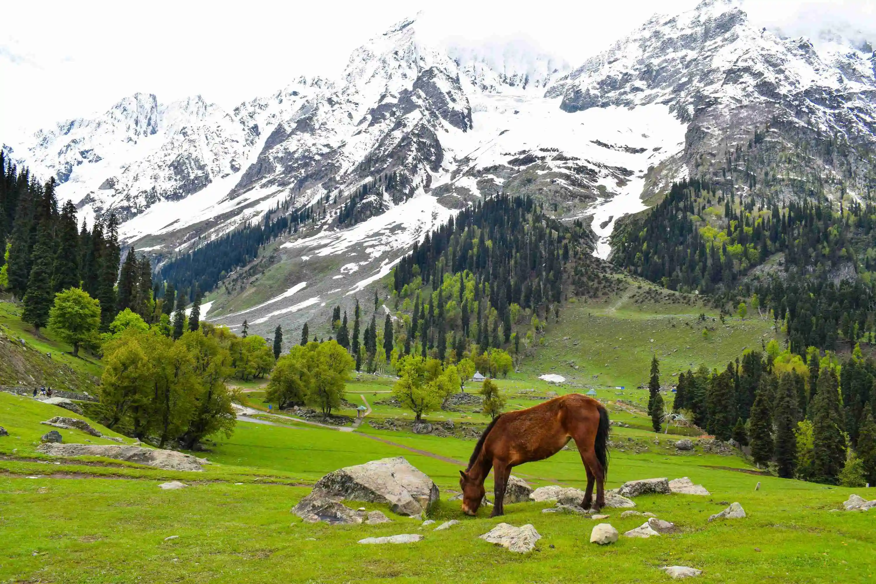 Kashmir Weekend Getaway